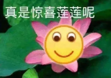 640.gif