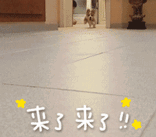 2.gif