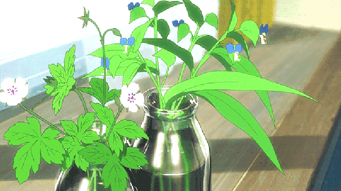 1636533509137846.gif